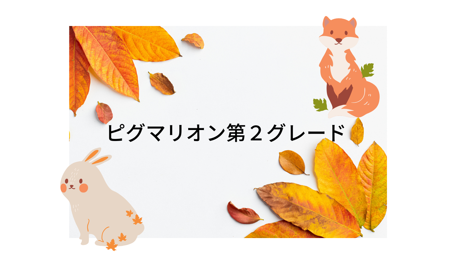 ピグマリオン幼児家庭学習 第二グレードの内容と効果は？4歳4か月の  